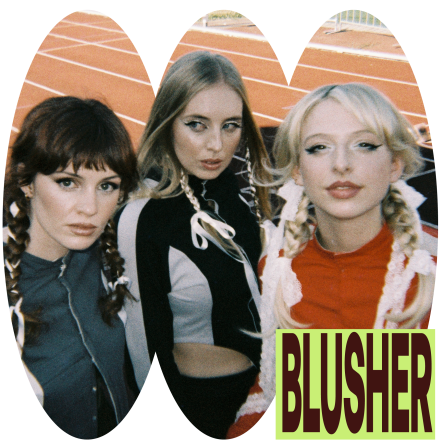 Blusher image